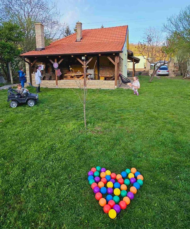 Fruska House Βίλα Besenovacki Prnjavor Εξωτερικό φωτογραφία